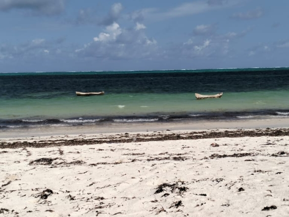 Exceptional 12-acre beachfront at Malaika Beach, Watamu — buy whole at Ksh 20M/acre (Ksh 240M) or individual 4-acre lots at Ksh 100M each. Ideal for luxury villas, boutique resorts or private estates.