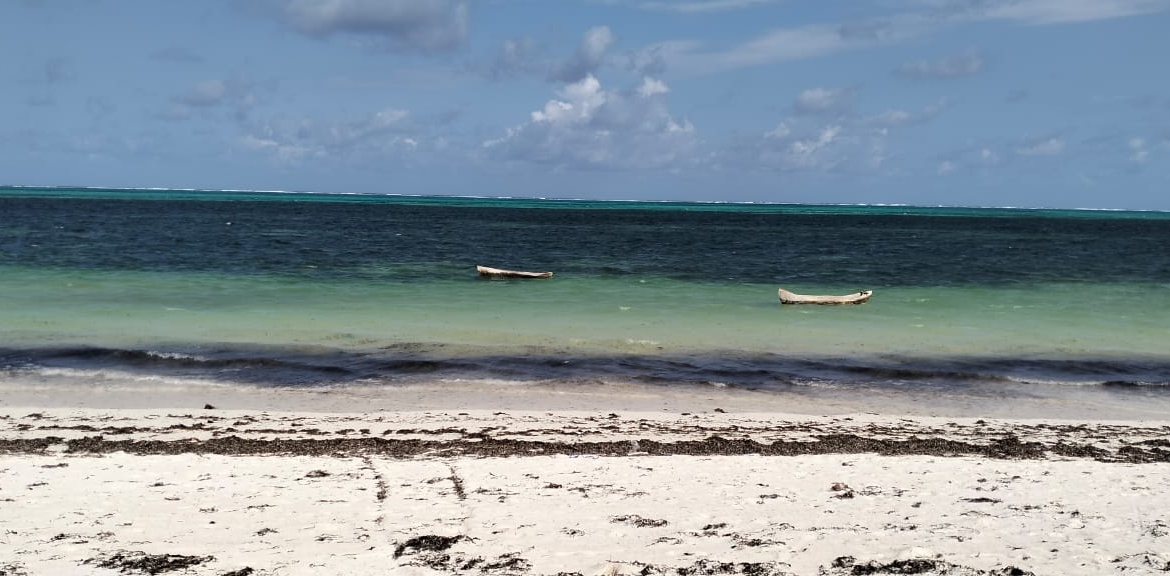 Exceptional 12-acre beachfront at Malaika Beach, Watamu — buy whole at Ksh 20M/acre (Ksh 240M) or individual 4-acre lots at Ksh 100M each. Ideal for luxury villas, boutique resorts or private estates.