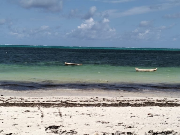 Exceptional 12-acre beachfront at Malaika Beach, Watamu — buy whole at Ksh 20M/acre (Ksh 240M) or individual 4-acre lots at Ksh 100M each. Ideal for luxury villas, boutique resorts or private estates.