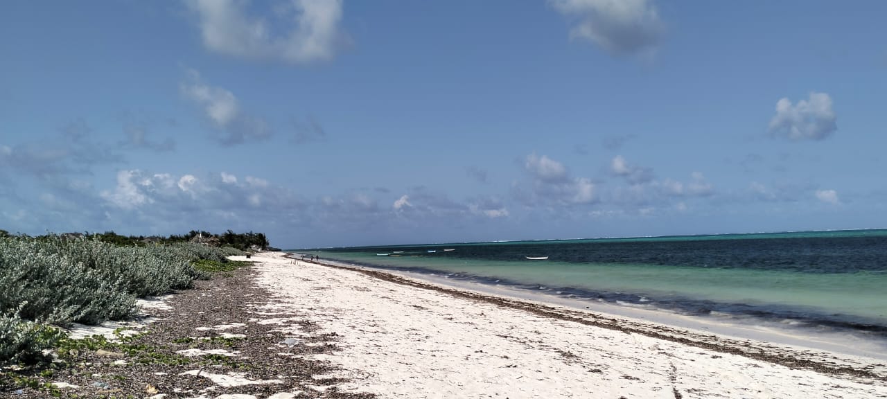 Mkaazi Real Estate Ltd- Prime 12-Acre Beachfront at Malaika Beach, Watamu — Whole or 4-Acre Lots