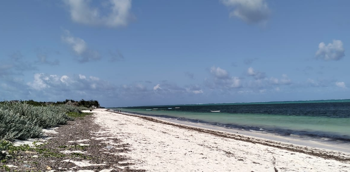 Exceptional 12-acre beachfront at Malaika Beach, Watamu — buy whole at Ksh 20M/acre (Ksh 240M) or individual 4-acre lots at Ksh 100M each. Ideal for luxury villas, boutique resorts or private estates.