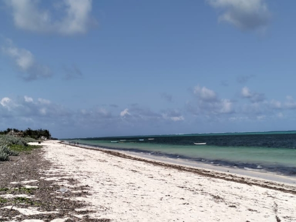 Exceptional 12-acre beachfront at Malaika Beach, Watamu — buy whole at Ksh 20M/acre (Ksh 240M) or individual 4-acre lots at Ksh 100M each. Ideal for luxury villas, boutique resorts or private estates.