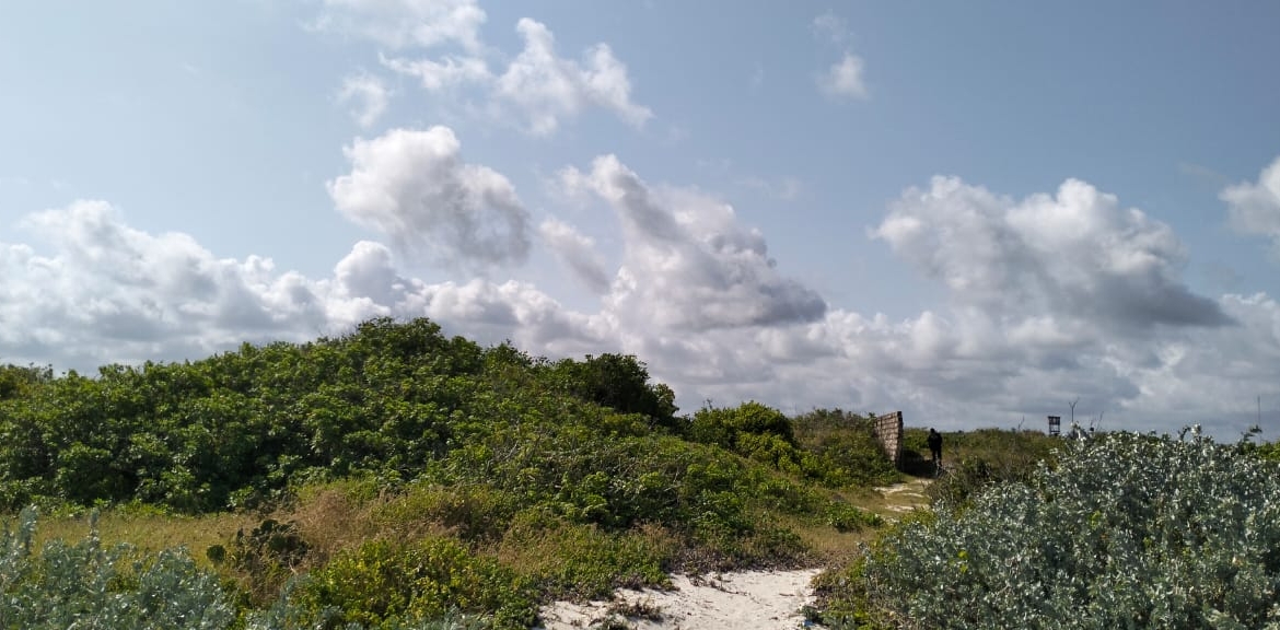 Exceptional 12-acre beachfront at Malaika Beach, Watamu — buy whole at Ksh 20M/acre (Ksh 240M) or individual 4-acre lots at Ksh 100M each. Ideal for luxury villas, boutique resorts or private estates.