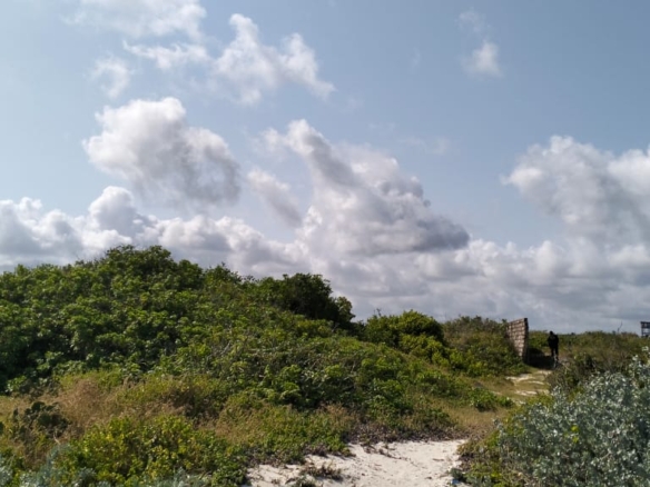 Exceptional 12-acre beachfront at Malaika Beach, Watamu — buy whole at Ksh 20M/acre (Ksh 240M) or individual 4-acre lots at Ksh 100M each. Ideal for luxury villas, boutique resorts or private estates.