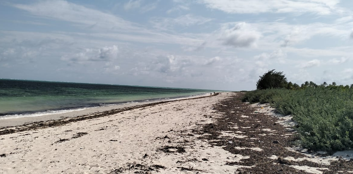Exceptional 12-acre beachfront at Malaika Beach, Watamu — buy whole at Ksh 20M/acre (Ksh 240M) or individual 4-acre lots at Ksh 100M each. Ideal for luxury villas, boutique resorts or private estates.
