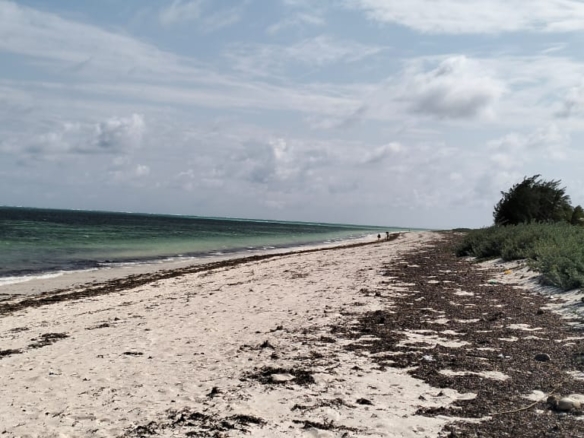Exceptional 12-acre beachfront at Malaika Beach, Watamu — buy whole at Ksh 20M/acre (Ksh 240M) or individual 4-acre lots at Ksh 100M each. Ideal for luxury villas, boutique resorts or private estates.