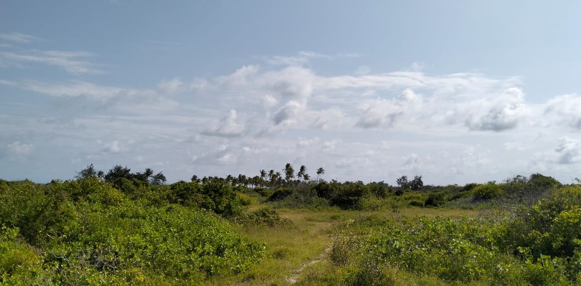 Exceptional 12-acre beachfront at Malaika Beach, Watamu — buy whole at Ksh 20M/acre (Ksh 240M) or individual 4-acre lots at Ksh 100M each. Ideal for luxury villas, boutique resorts or private estates.