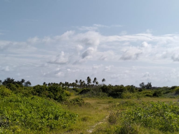 Exceptional 12-acre beachfront at Malaika Beach, Watamu — buy whole at Ksh 20M/acre (Ksh 240M) or individual 4-acre lots at Ksh 100M each. Ideal for luxury villas, boutique resorts or private estates.
