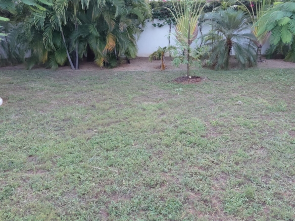 Luxury U-Shaped 4-Bedroom Home in Watamu | ½ Acre, Infinity Pool, 5-Car Garage & Private Garden – KES 42M