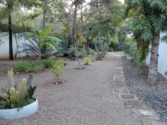 Luxury U-Shaped 4-Bedroom Home in Watamu | ½ Acre, Infinity Pool, 5-Car Garage & Private Garden – KES 42M