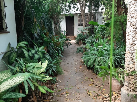 Malindi villa for sale, Ngala Road property, Mtangani real estate, freehold villa Malindi, Malindi luxury homes, Malindi property 35M, tropical villa Malindi, Mkaazi Real Estate