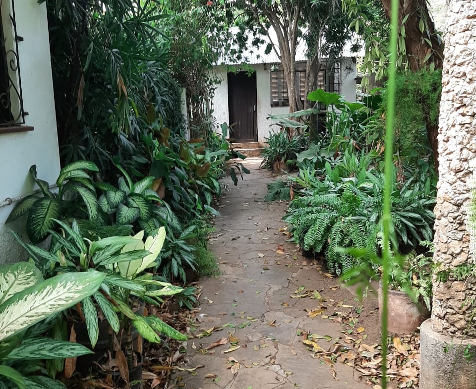 Malindi villa for sale, Ngala Road property, Mtangani real estate, freehold villa Malindi, Malindi luxury homes, Malindi property 35M, tropical villa Malindi, Mkaazi Real Estate