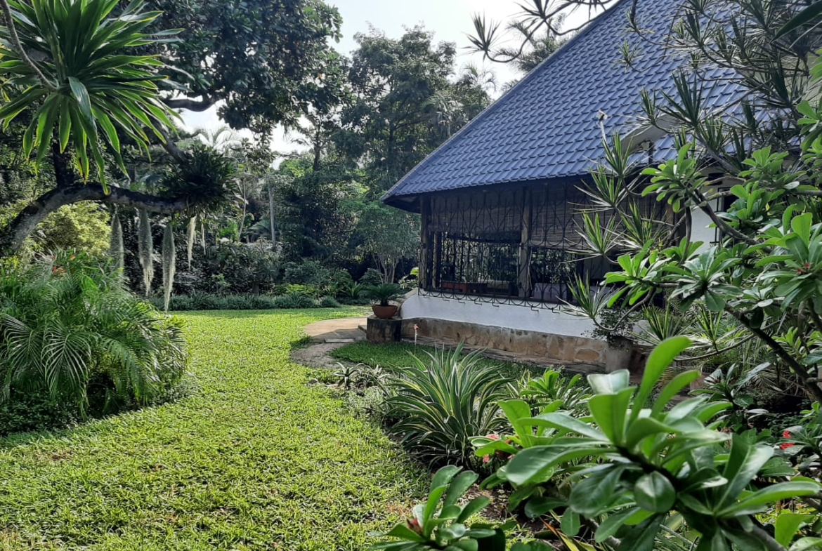 Malindi villa for sale, Ngala Road property, Mtangani real estate, freehold villa Malindi, Malindi luxury homes, Malindi property 35M, tropical villa Malindi, Mkaazi Real Estate