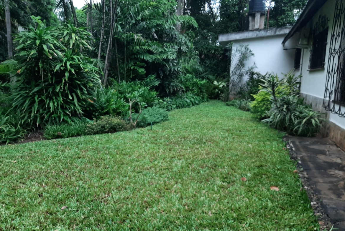 Malindi villa for sale, Ngala Road property, Mtangani real estate, freehold villa Malindi, Malindi luxury homes, Malindi property 35M, tropical villa Malindi, Mkaazi Real Estate