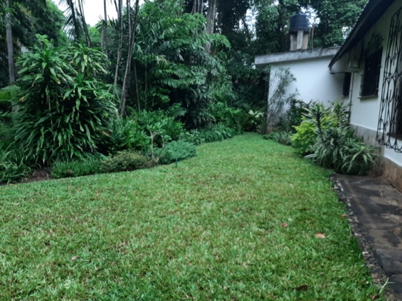 Malindi villa for sale, Ngala Road property, Mtangani real estate, freehold villa Malindi, Malindi luxury homes, Malindi property 35M, tropical villa Malindi, Mkaazi Real Estate