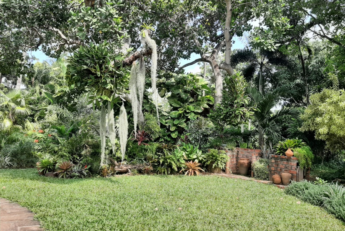Malindi villa for sale, Ngala Road property, Mtangani real estate, freehold villa Malindi, Malindi luxury homes, Malindi property 35M, tropical villa Malindi, Mkaazi Real Estate