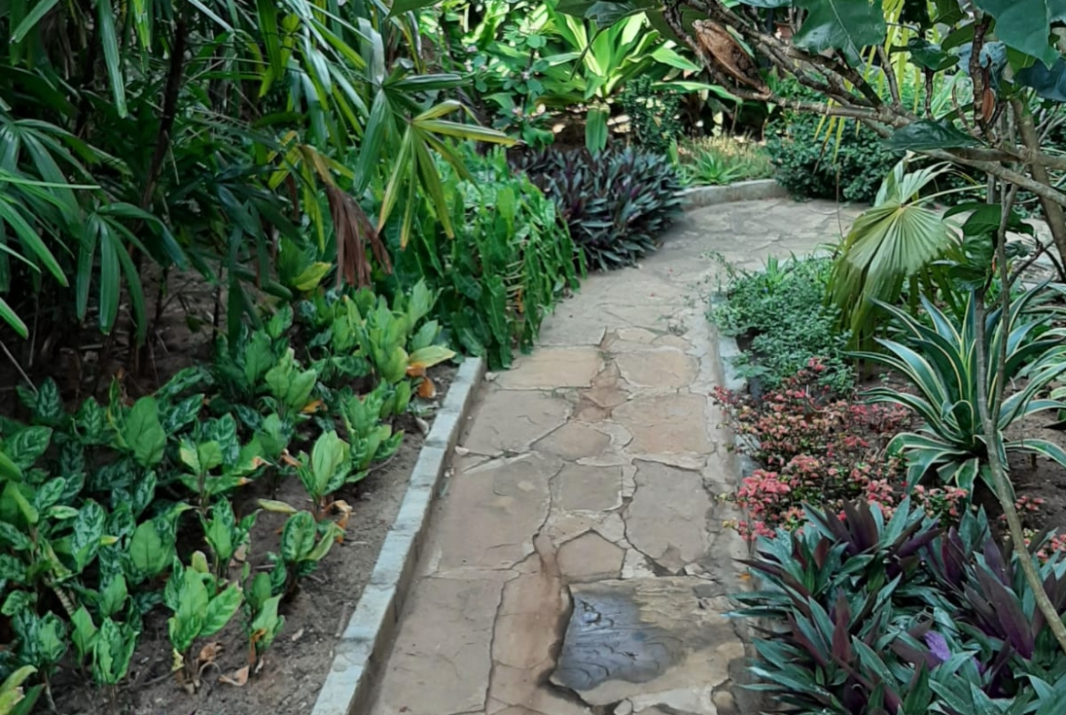 Malindi villa for sale, Ngala Road property, Mtangani real estate, freehold villa Malindi, Malindi luxury homes, Malindi property 35M, tropical villa Malindi, Mkaazi Real Estate