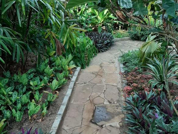 Malindi villa for sale, Ngala Road property, Mtangani real estate, freehold villa Malindi, Malindi luxury homes, Malindi property 35M, tropical villa Malindi, Mkaazi Real Estate