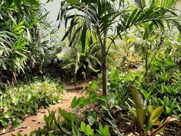 Malindi villa for sale, Ngala Road property, Mtangani real estate, freehold villa Malindi, Malindi luxury homes, Malindi property 35M, tropical villa Malindi, Mkaazi Real Estate