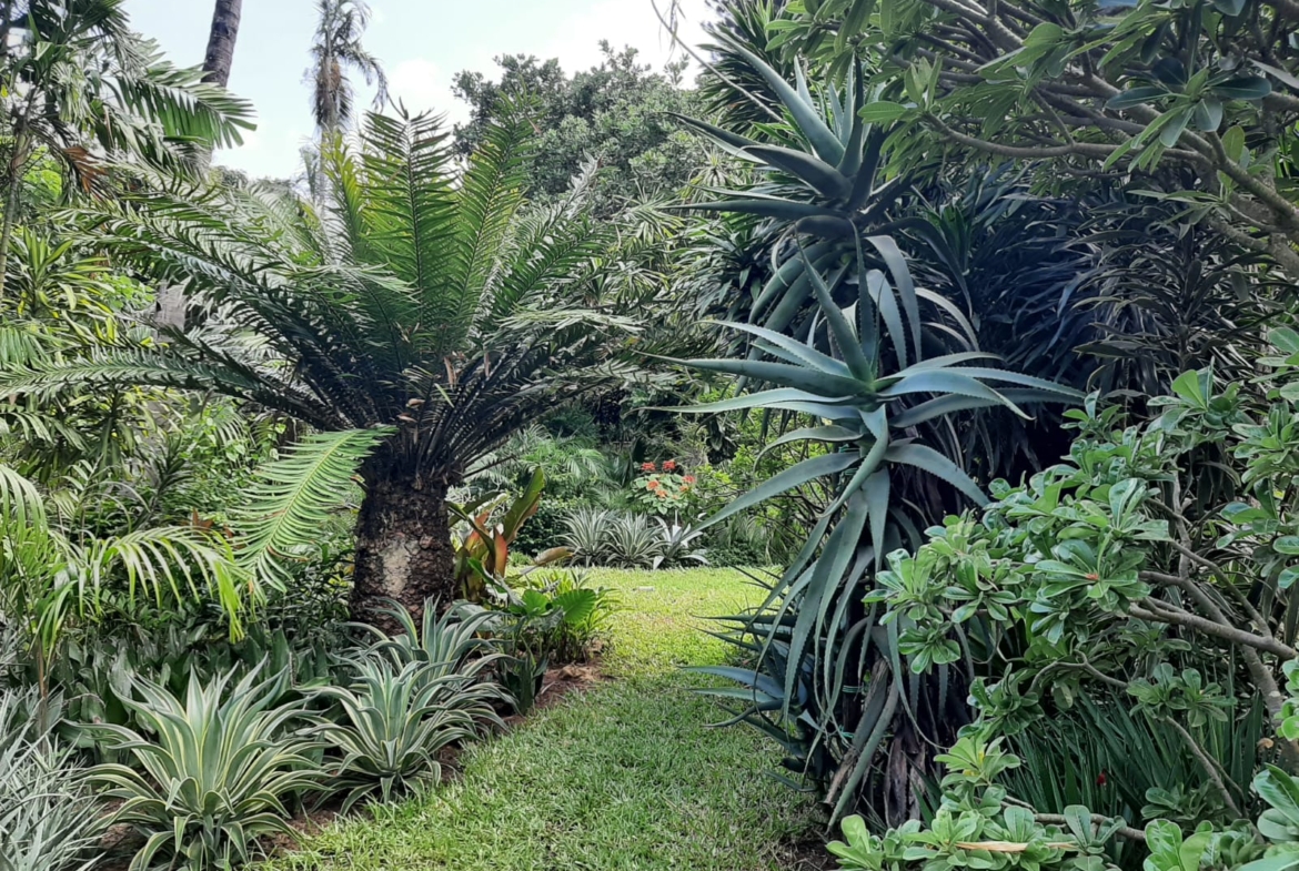 Malindi villa for sale, Ngala Road property, Mtangani real estate, freehold villa Malindi, Malindi luxury homes, Malindi property 35M, tropical villa Malindi, Mkaazi Real Estate
