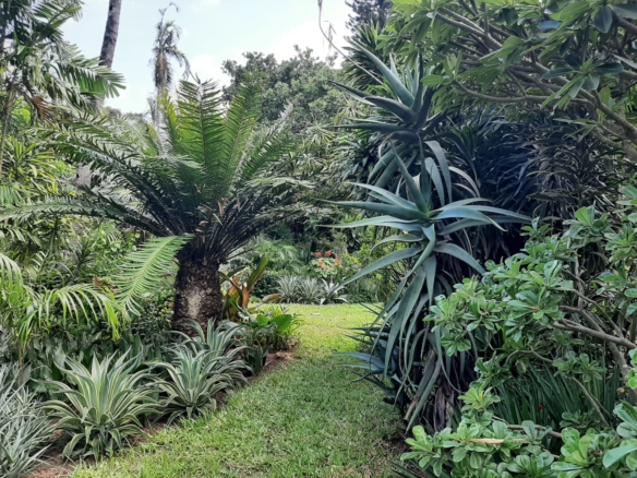 Malindi villa for sale, Ngala Road property, Mtangani real estate, freehold villa Malindi, Malindi luxury homes, Malindi property 35M, tropical villa Malindi, Mkaazi Real Estate