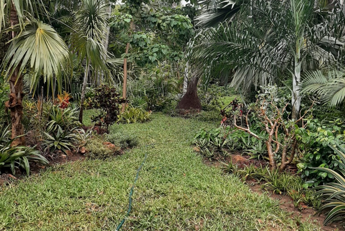 Malindi villa for sale, Ngala Road property, Mtangani real estate, freehold villa Malindi, Malindi luxury homes, Malindi property 35M, tropical villa Malindi, Mkaazi Real Estate