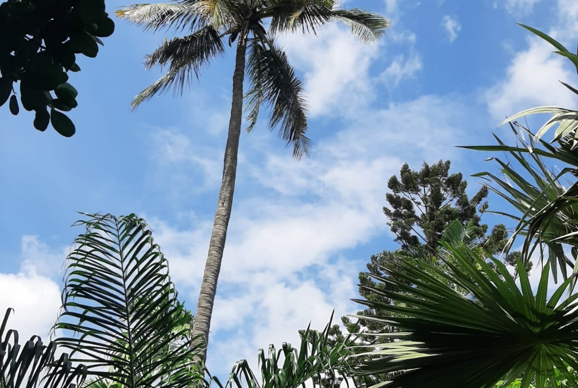 Malindi villa for sale, Ngala Road property, Mtangani real estate, freehold villa Malindi, Malindi luxury homes, Malindi property 35M, tropical villa Malindi, Mkaazi Real Estate