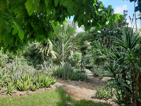 Malindi villa for sale, Ngala Road property, Mtangani real estate, freehold villa Malindi, Malindi luxury homes, Malindi property 35M, tropical villa Malindi, Mkaazi Real Estate