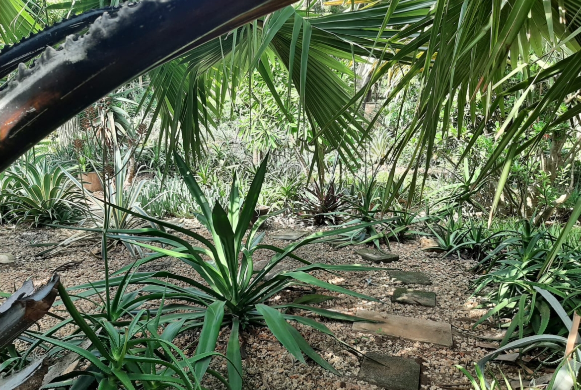 Malindi villa for sale, Ngala Road property, Mtangani real estate, freehold villa Malindi, Malindi luxury homes, Malindi property 35M, tropical villa Malindi, Mkaazi Real Estate