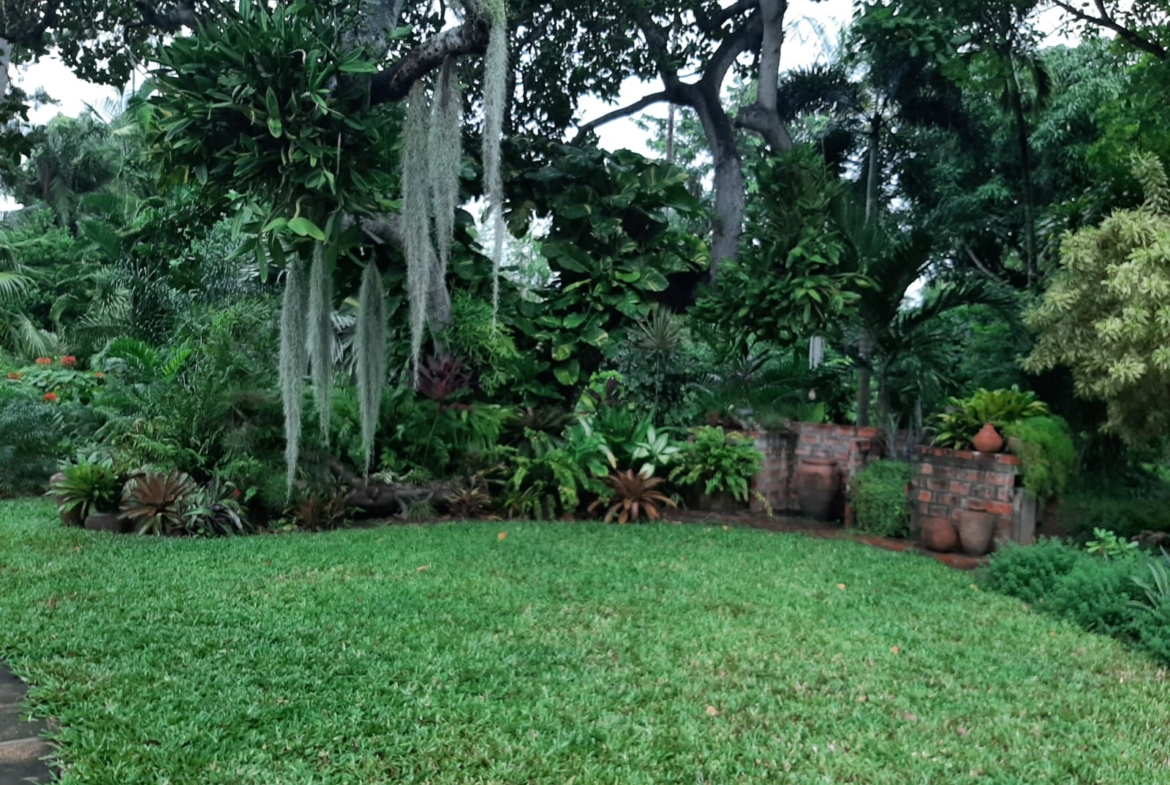 Malindi villa for sale, Ngala Road property, Mtangani real estate, freehold villa Malindi, Malindi luxury homes, Malindi property 35M, tropical villa Malindi, Mkaazi Real Estate