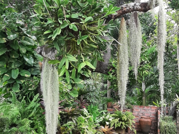 Malindi villa for sale, Ngala Road property, Mtangani real estate, freehold villa Malindi, Malindi luxury homes, Malindi property 35M, tropical villa Malindi, Mkaazi Real Estate