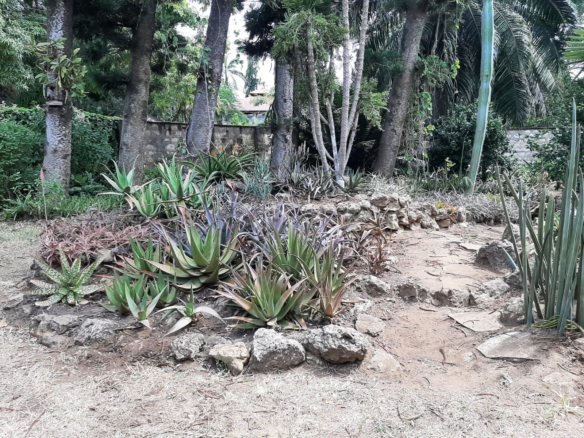 Malindi villa for sale, Ngala Road property, Mtangani real estate, freehold villa Malindi, Malindi luxury homes, Malindi property 35M, tropical villa Malindi, Mkaazi Real Estate