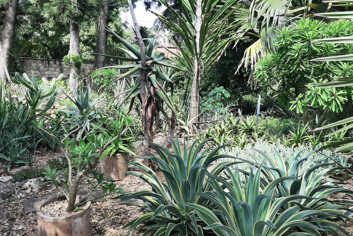 Malindi villa for sale, Ngala Road property, Mtangani real estate, freehold villa Malindi, Malindi luxury homes, Malindi property 35M, tropical villa Malindi, Mkaazi Real Estate