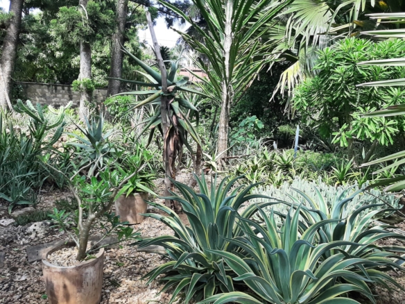 Malindi villa for sale, Ngala Road property, Mtangani real estate, freehold villa Malindi, Malindi luxury homes, Malindi property 35M, tropical villa Malindi, Mkaazi Real Estate