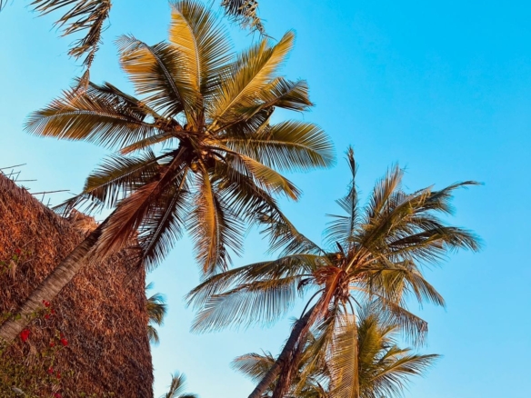 Exceptional short-stay villa for corporate retreats and private events. 5 ensuite bedrooms, pool, rooftop terrace and dedicated in-house chef. Contact Mkaazi Real Estate for packages and viewings.