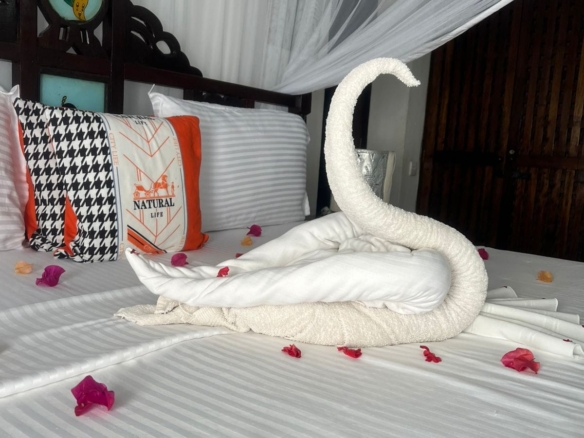 Exceptional short-stay villa for corporate retreats and private events. 5 ensuite bedrooms, pool, rooftop terrace and dedicated in-house chef. Contact Mkaazi Real Estate for packages and viewings.