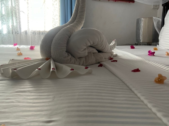 Exceptional short-stay villa for corporate retreats and private events. 5 ensuite bedrooms, pool, rooftop terrace and dedicated in-house chef. Contact Mkaazi Real Estate for packages and viewings.