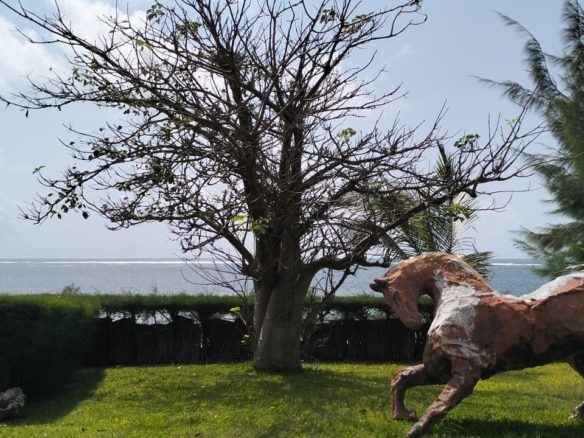 For Sale: Furnished 4BR Moroccan-style beachfront villa on Silversands Beach, Malindi. Ocean-view Jacuzzi, pool, DSQ, art-filled garden. USD 500K.