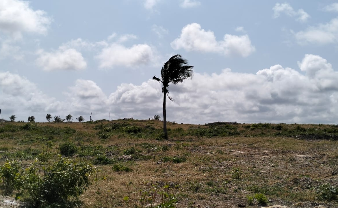 🔥 For sale: 1-acre plot near One Bay, Watamu – Ksh 27.5M. Build your dream villa or eco-retreat in Kenya’s coastal paradise.