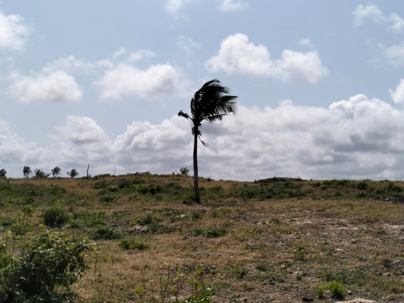 🔥 For sale: 1-acre plot near One Bay, Watamu – Ksh 27.5M. Build your dream villa or eco-retreat in Kenya’s coastal paradise.