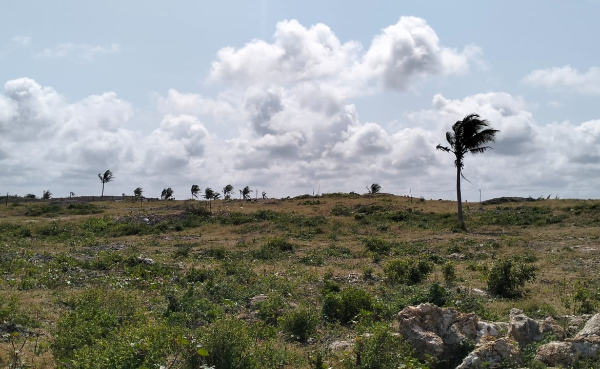 🔥 For sale: 1-acre plot near One Bay, Watamu – Ksh 27.5M. Build your dream villa or eco-retreat in Kenya’s coastal paradise.