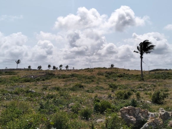 🔥 For sale: 1-acre plot near One Bay, Watamu – Ksh 27.5M. Build your dream villa or eco-retreat in Kenya’s coastal paradise.