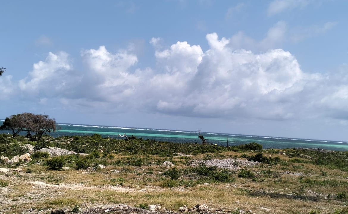 🔥 For sale: 1-acre plot near One Bay, Watamu – Ksh 27.5M. Build your dream villa or eco-retreat in Kenya’s coastal paradise.
