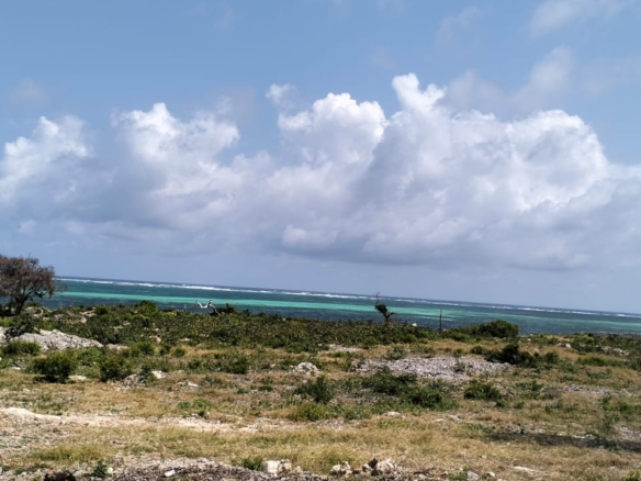 🔥 For sale: 1-acre plot near One Bay, Watamu – Ksh 27.5M. Build your dream villa or eco-retreat in Kenya’s coastal paradise.