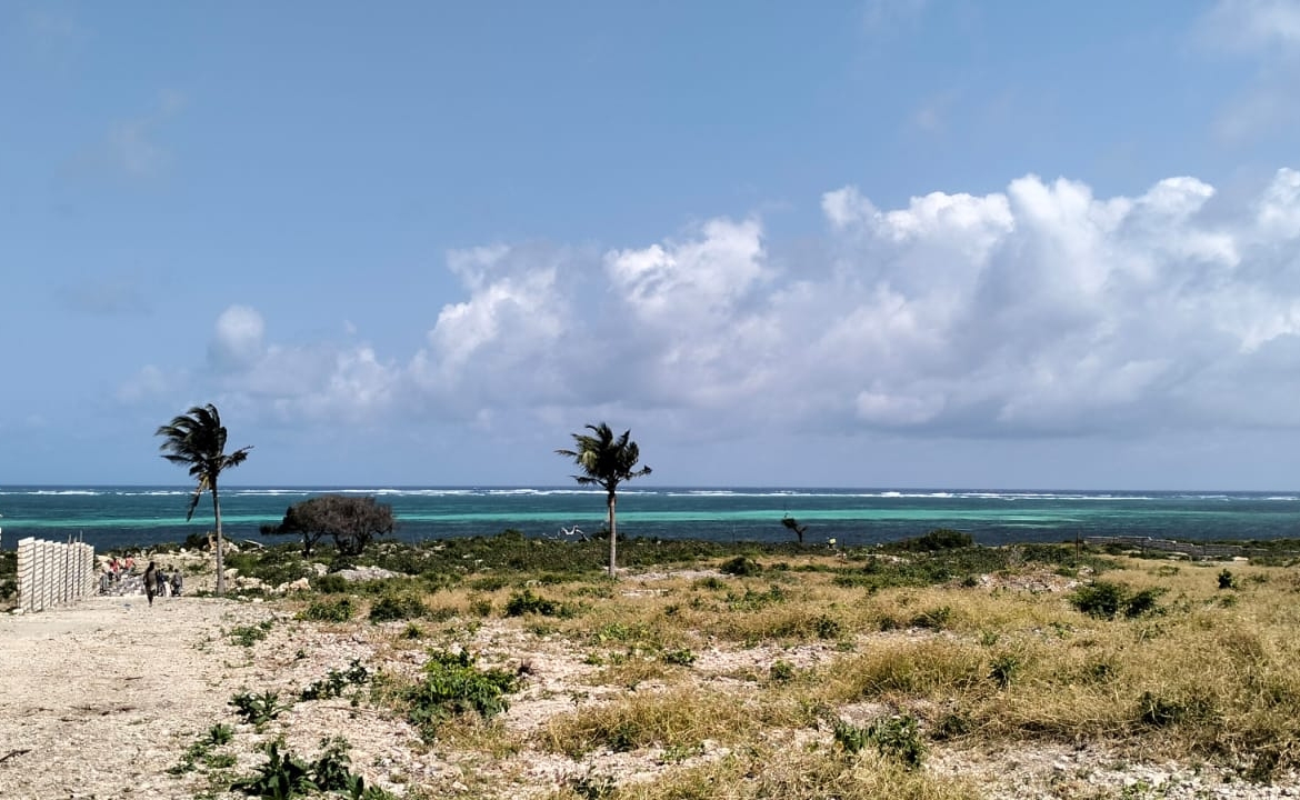 🔥 For sale: 1-acre plot near One Bay, Watamu – Ksh 27.5M. Build your dream villa or eco-retreat in Kenya’s coastal paradise.