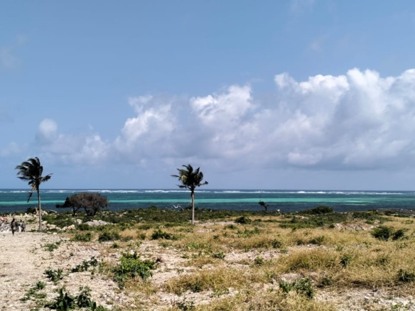 🔥 For sale: 1-acre plot near One Bay, Watamu – Ksh 27.5M. Build your dream villa or eco-retreat in Kenya’s coastal paradise.