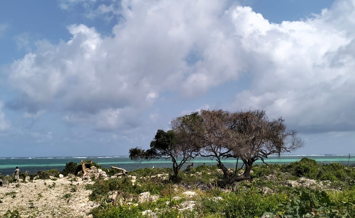 🔥 For sale: 1-acre plot near One Bay, Watamu – Ksh 27.5M. Build your dream villa or eco-retreat in Kenya’s coastal paradise.