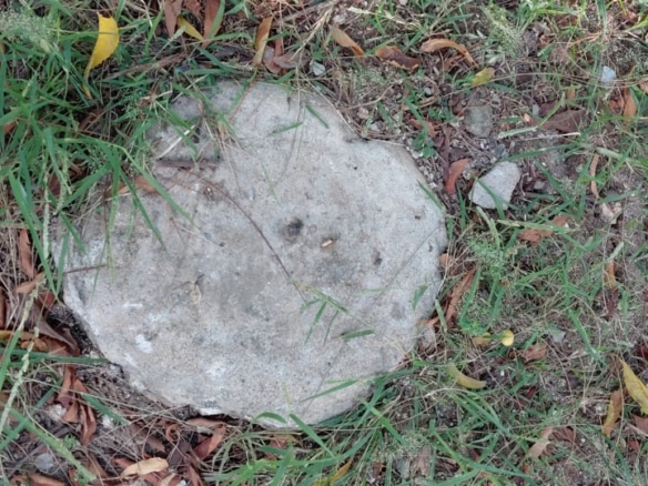 1.25 Acres for sale in Watamu