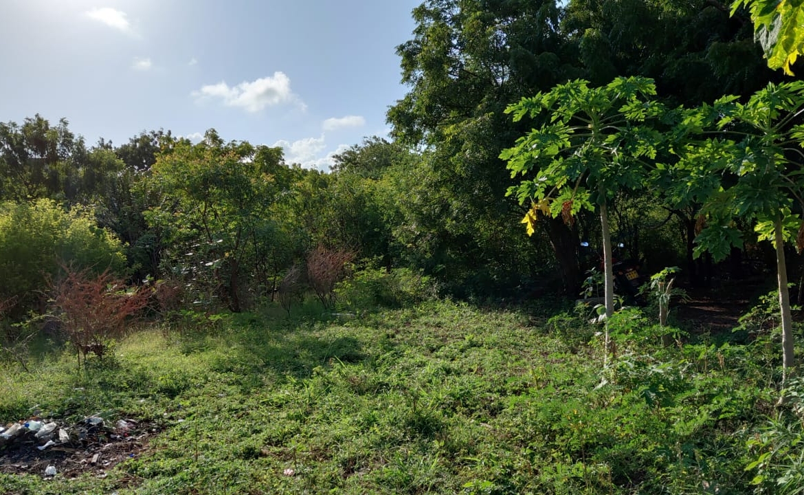 1.25 Acres for sale in Watamu