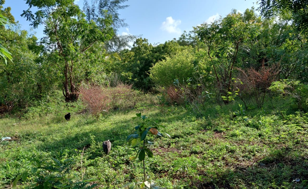 1.25 Acres for sale in Watamu